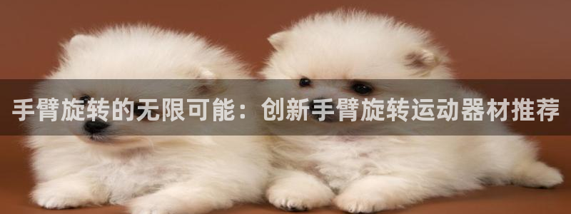 哈哈体育网址平台体育：手臂旋转的无限可能：创新手臂旋转运动器