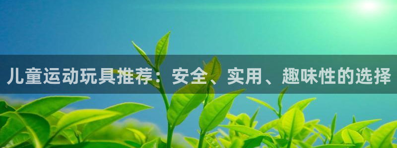 注册哈哈体育：儿童运动玩具推荐：安全、实用、趣味性的选择