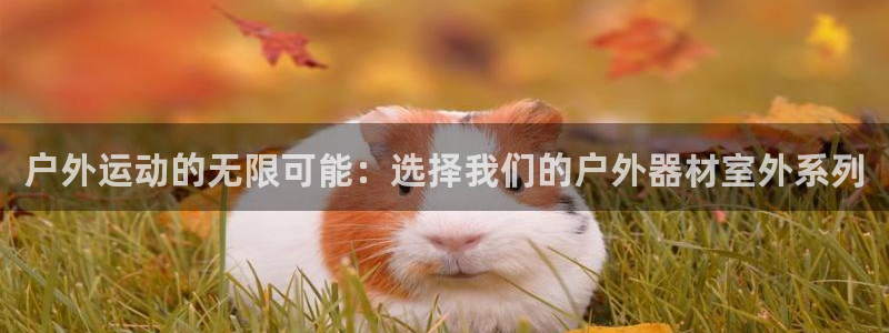 海南哈哈体育：户外运动的无限可能：选择我们的户外器材室外系列