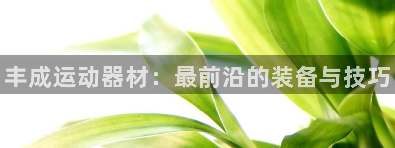 哈哈体育平台注册要钱吗安全吗：丰成运动器材：最前沿的装备与技